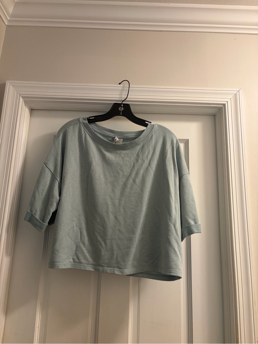 Divided Crop Boxy Tee in Sage Green